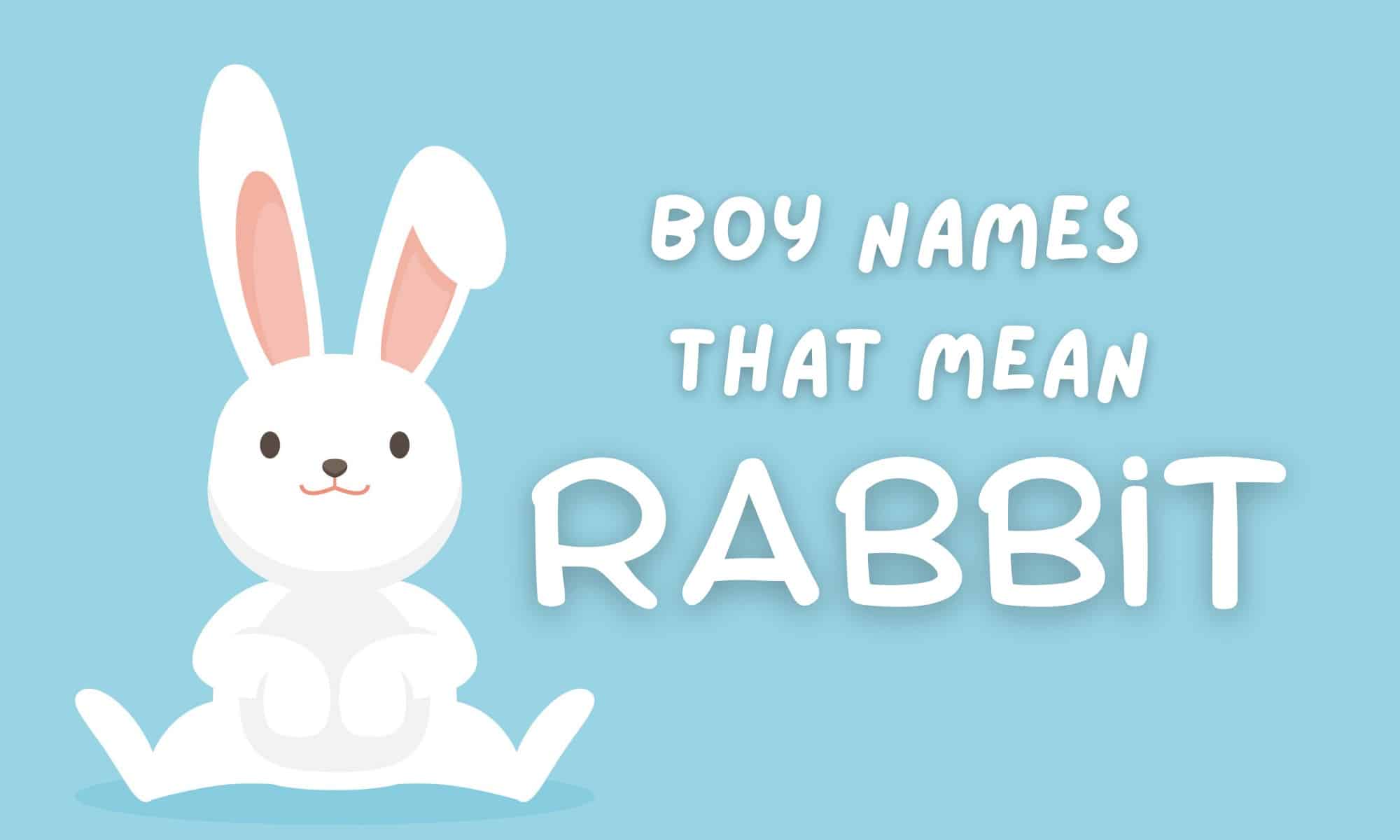 Boy Names That Mean Rabbit Boy Names That Mean Rabbit