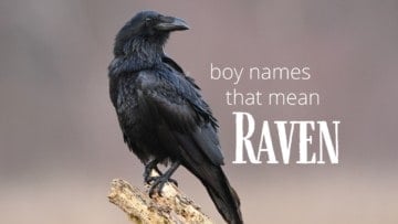 Boy names that mean raven