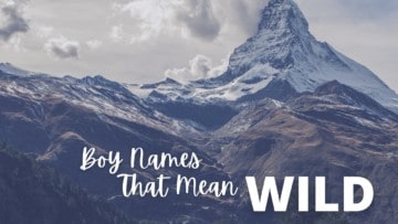 boy names that mean wild