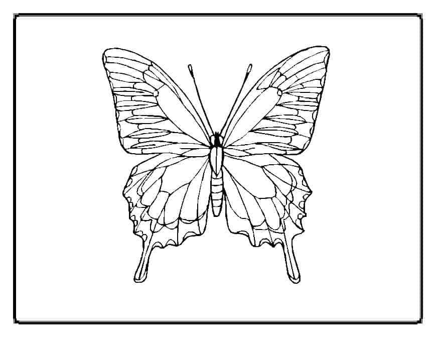 Your Kids Will Love These Butterfly Coloring Pages