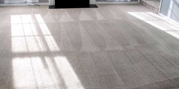 Vacuum Direction for a Cleaner Carpet