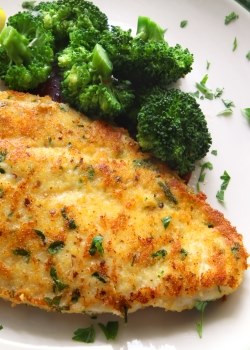 Chicken Recipes