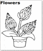 Flowers coloring pages