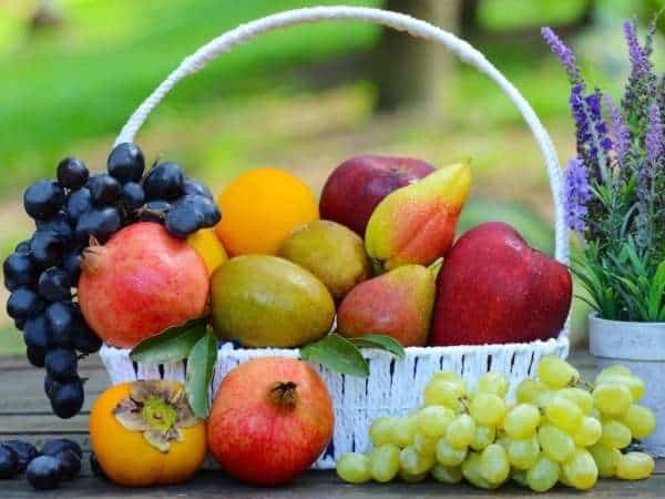 Fruit Basket