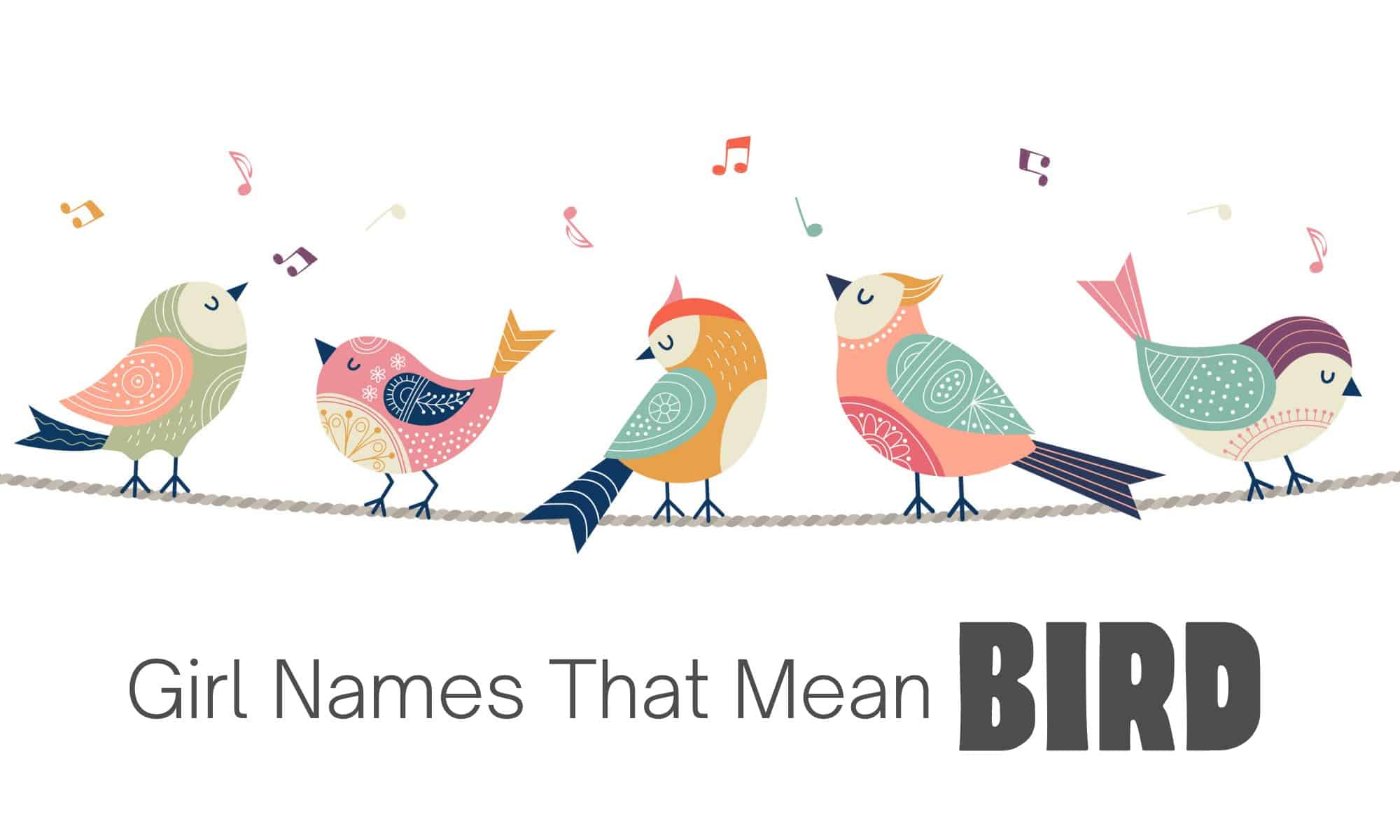 girl names that mean bird