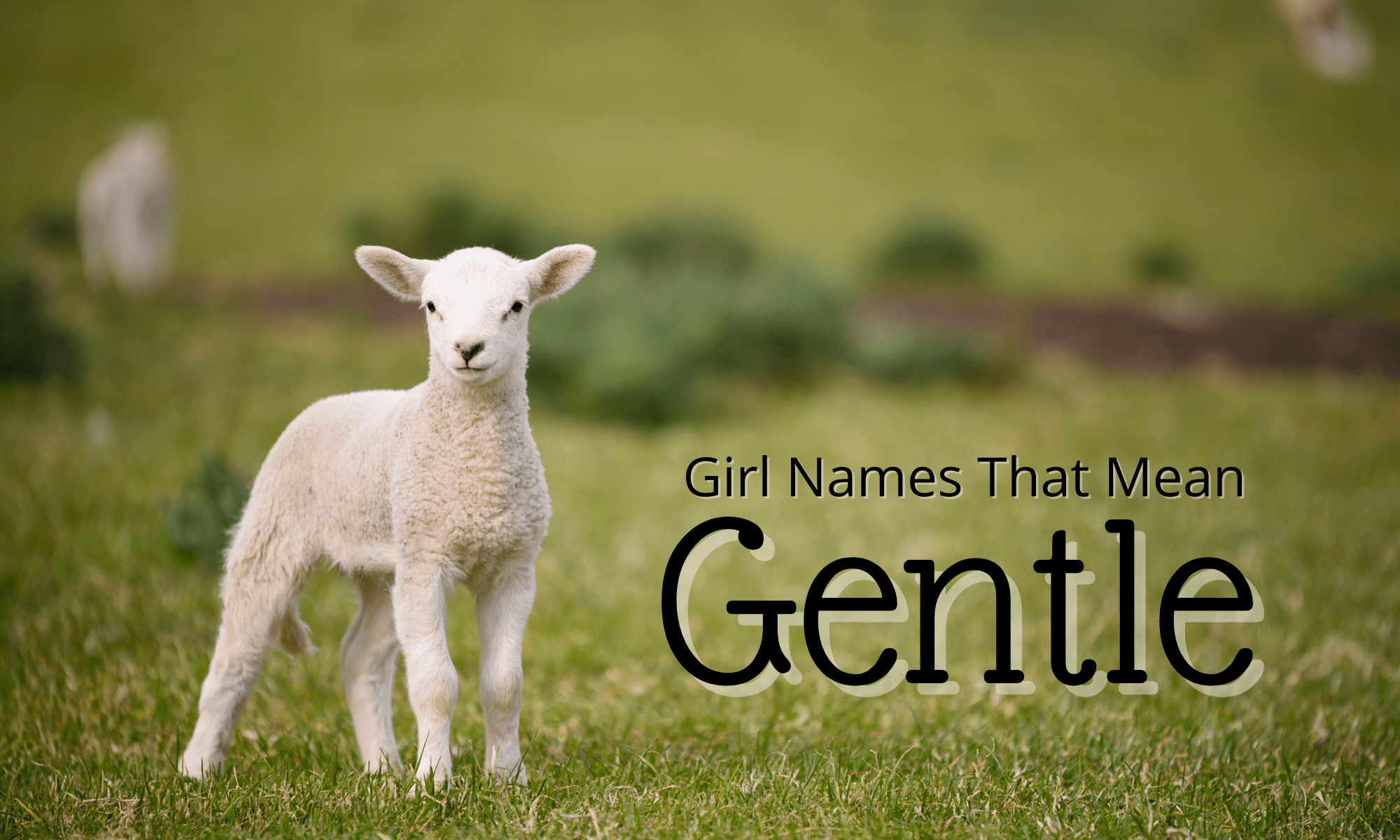 Girl Names That Mean Gentle