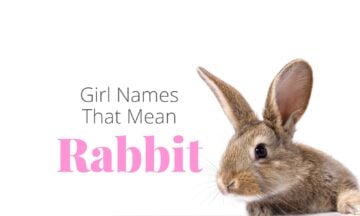 girl names that mean rabbit