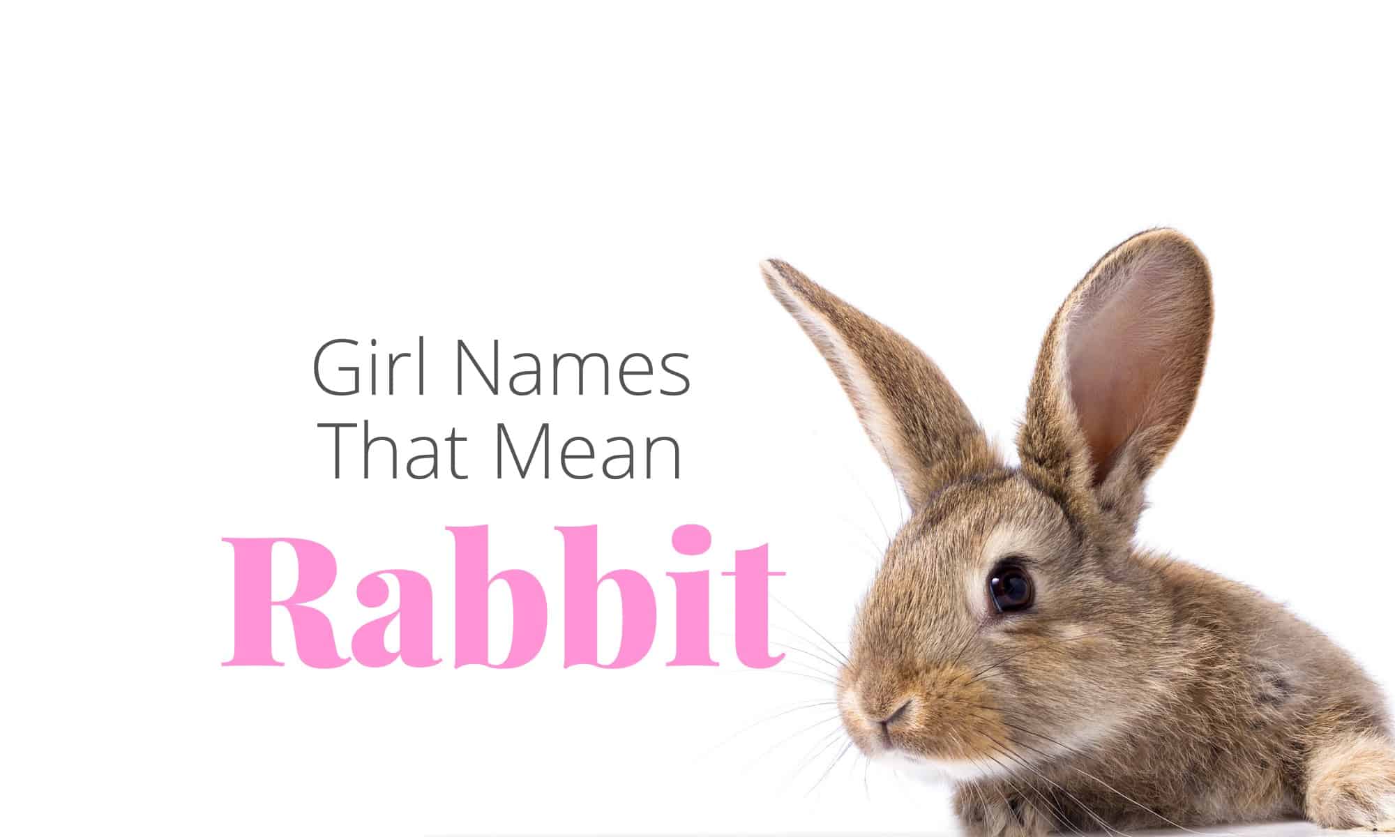 Girl Names That Mean Rabbit.