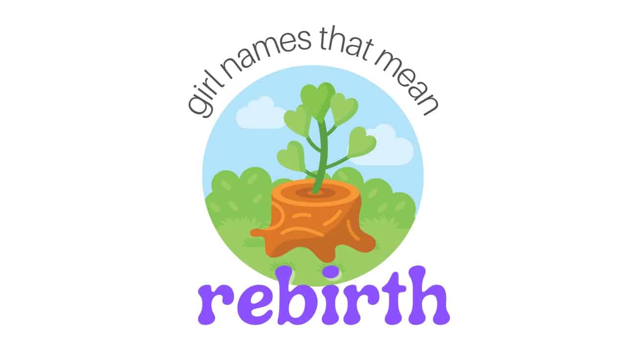 REBIRTH definition in American English