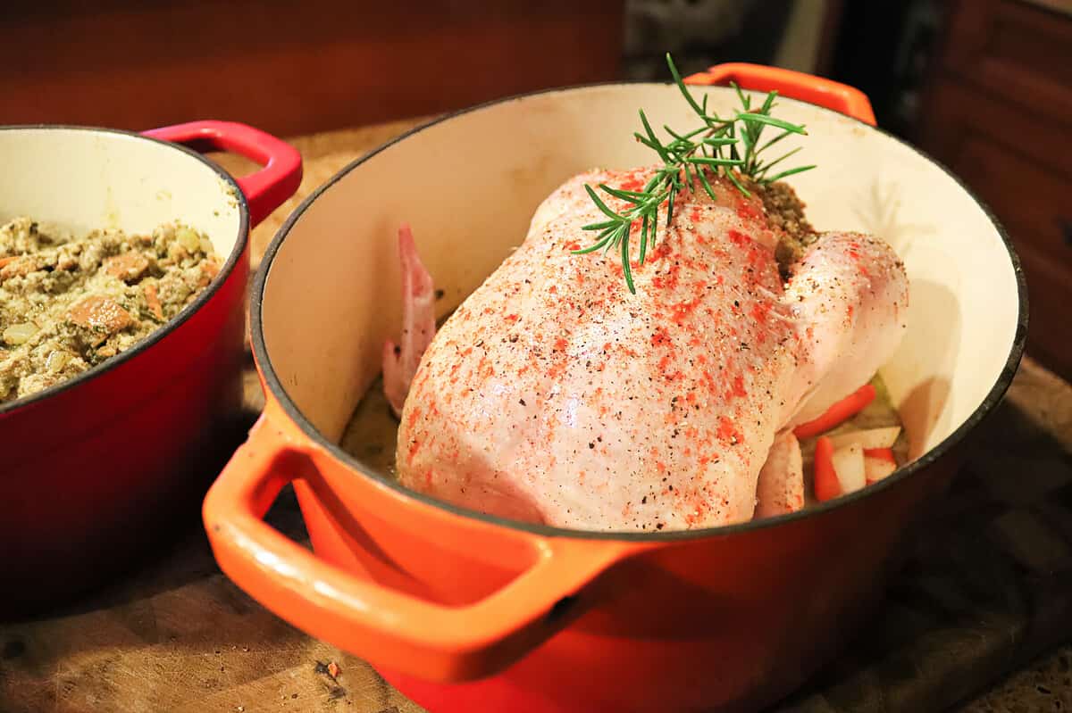 Closeup of a raw chicken and stuffing in a pot