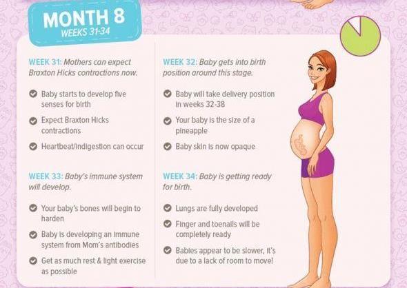 Pregnancy Month By Month Month 8 Pregnancy Month By Month Month 8