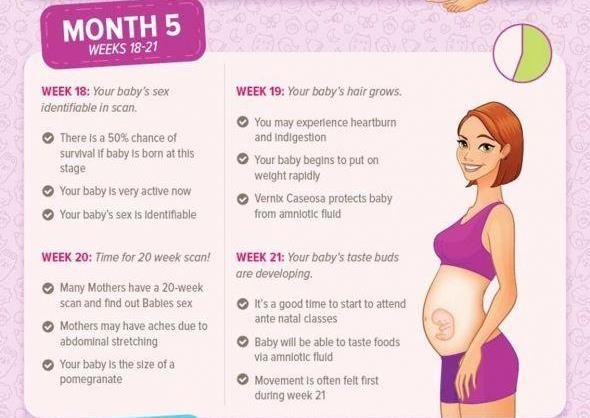 What to expect at 5 months pregnant