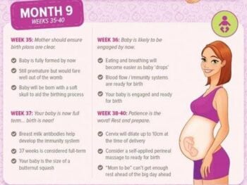 Pregnancy Information Guide