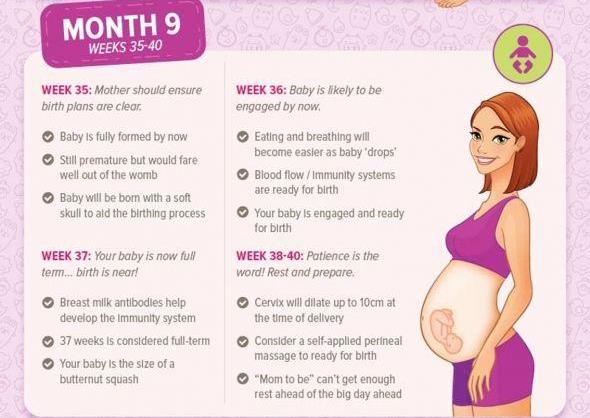 Pregnancy Information Guide