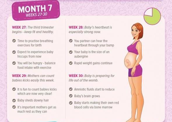 Pregnancy Information Guide