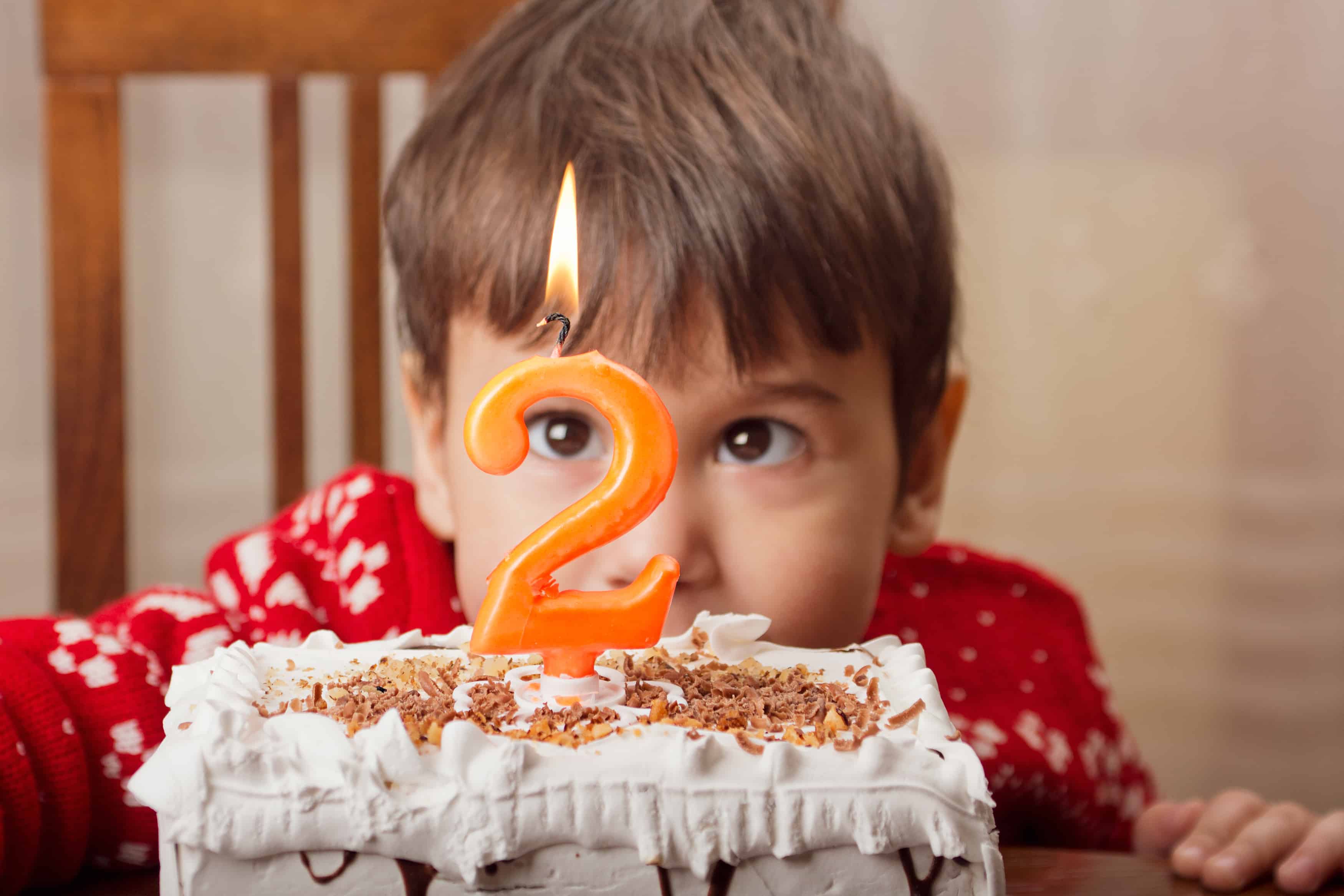 Second Birthday Party Ideas