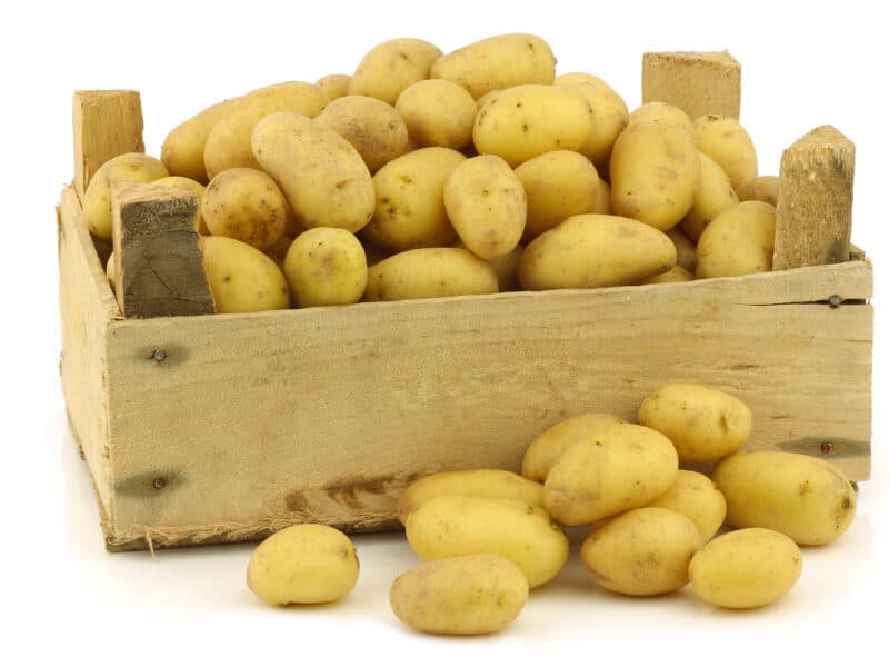 Dutch Potato Stuffing - a crate of dutch potatoes