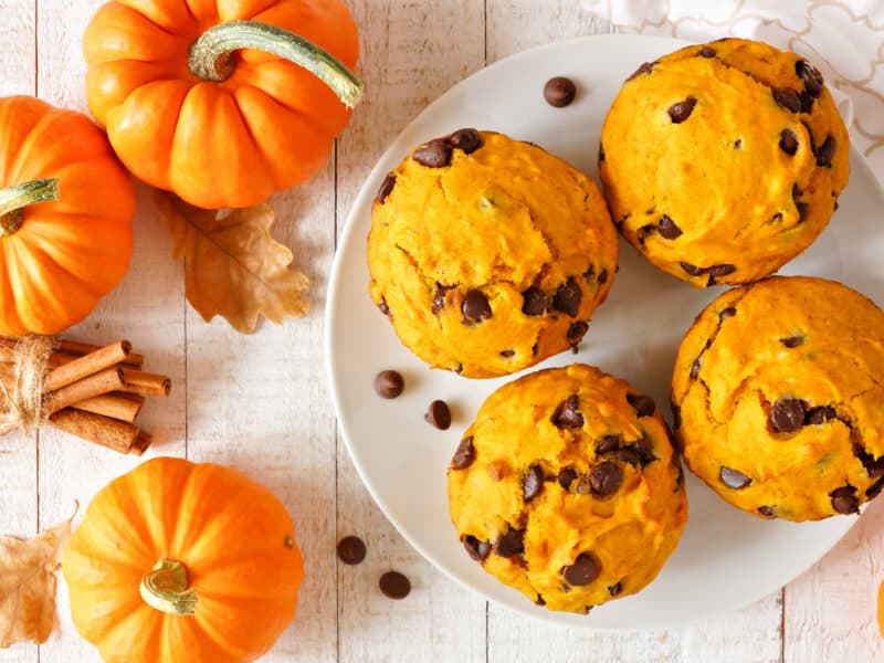 Pumpkin Chocolate Chip muffins on a plate next to mini pumpkins