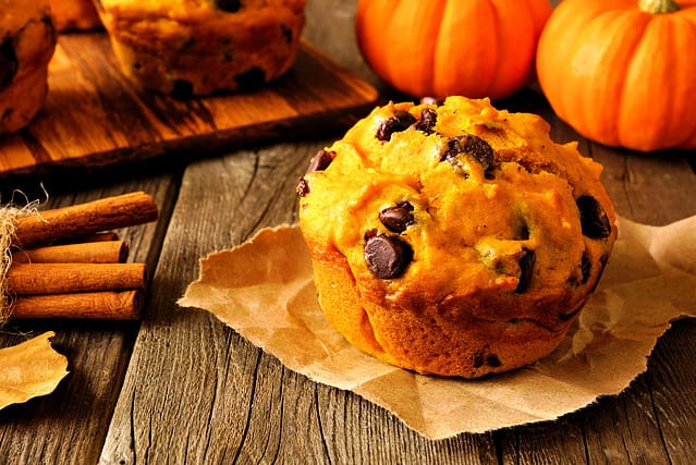 Pumpkin Chip Muffins