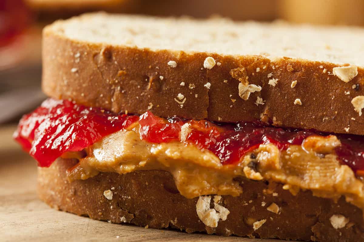Homemade Peanut Butter and Jelly Sandwich on Whole Wheat