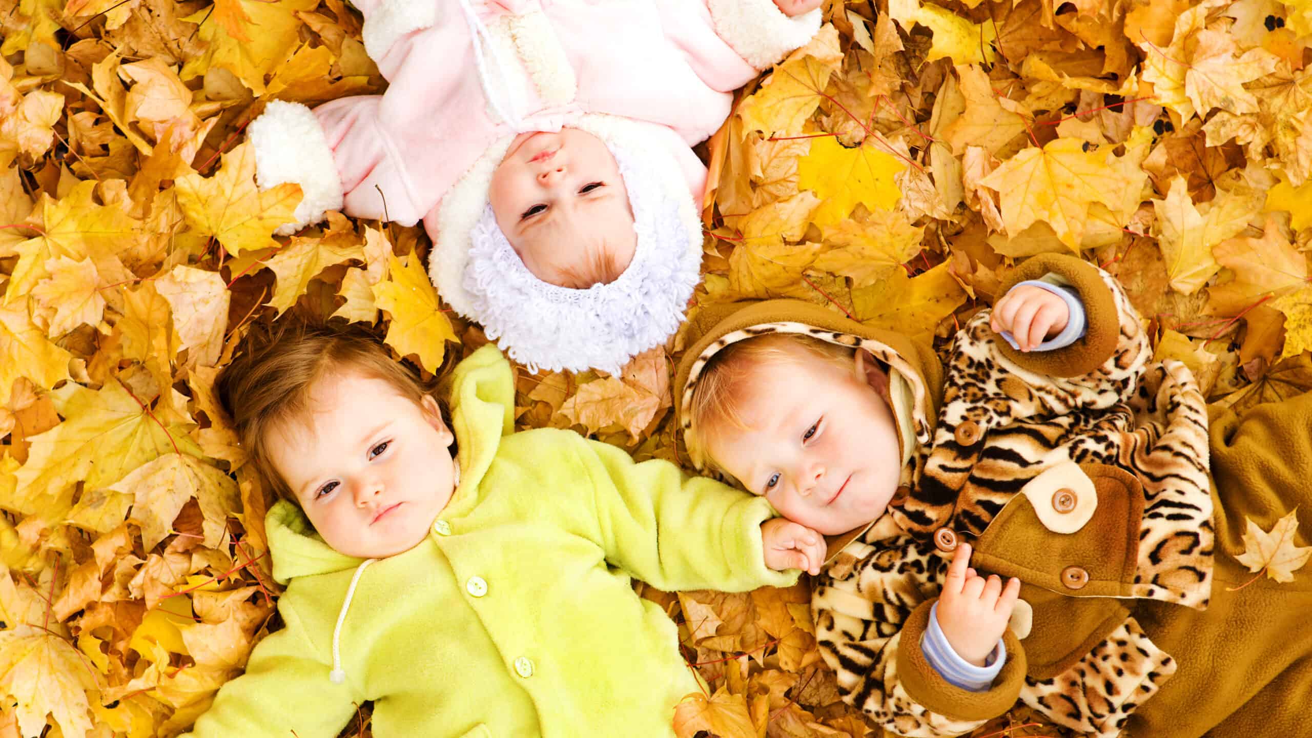 How Did Valentina Vassilyev Manage To Give Birth To So Many Children?