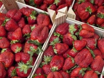 strawberries
