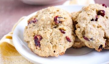 Sugar Free Cranberry Delight Cookie Recipe