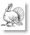 thanksgiving-coloring-pages-80