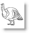 thanksgiving-coloring-pages-85