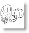 thanksgiving-coloring-pages-99